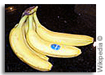banana banana