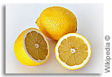 lemon lemon