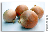 Onion Onion