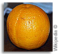 Orange Orange
