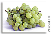 grapes grapes