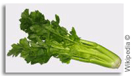 Celery Celery