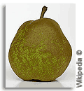 pear pear