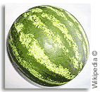 watermelon watermelon